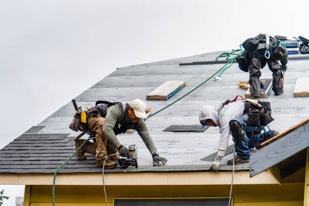 Professional Roofing technician working in Bowlus, MN